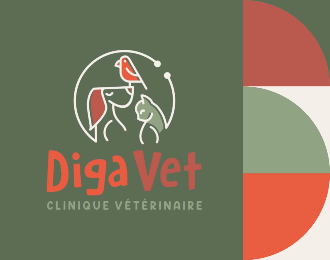 Digavet réalisé par 192 Pub – vue 1
